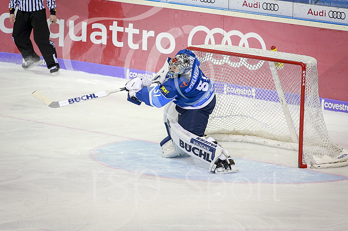 Eishockey, DEL, Saison 2017/2018, ERC Ingolstadt - Schwenninger Wild Wings