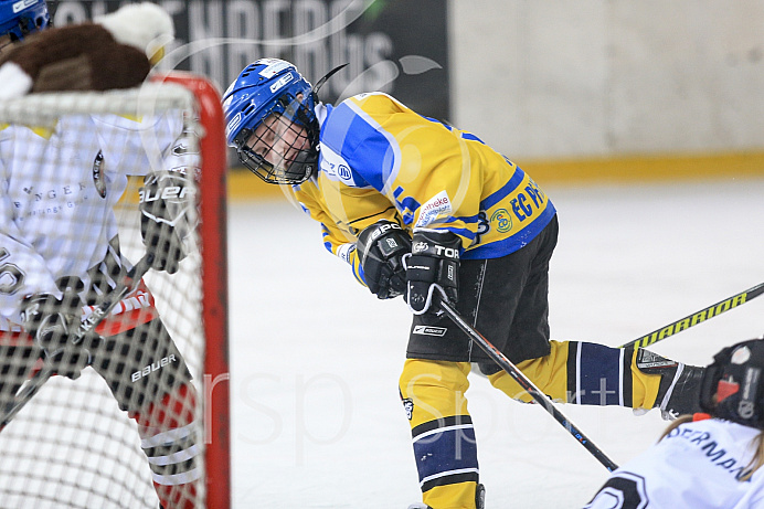 Eishockey, U12, Landesliga Gruppe 3, Saison 2017/2018, EC Pfaffenhofen - EHF Passau

