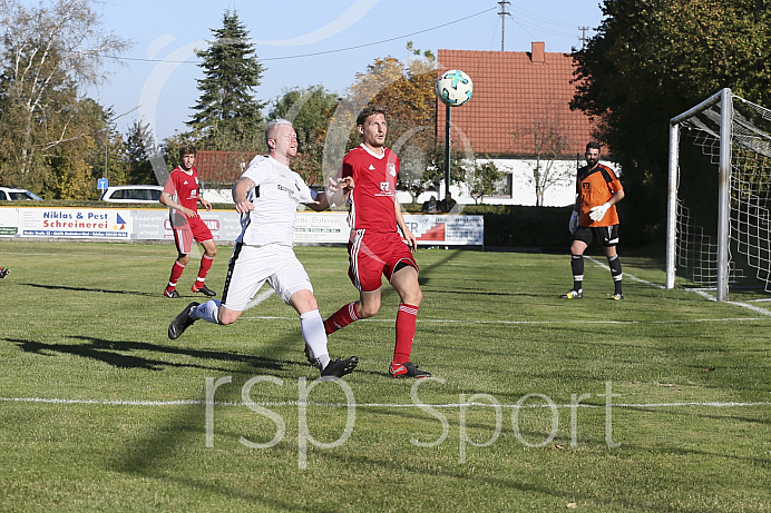 Fussball - Herren - Bezirksliga - Saison 2018/2019 - FC Ehekirchen - BC Adelzhausen - 13.10.2018 -  Foto: Ralf L