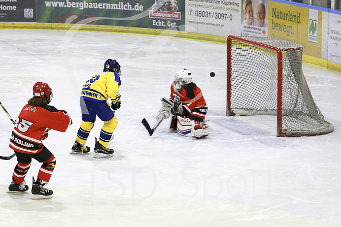 Eishockey, U12, Landesliga Gruppe 3, Saison 2017/2018, EC Pfaffenhofen - Bad Aibling