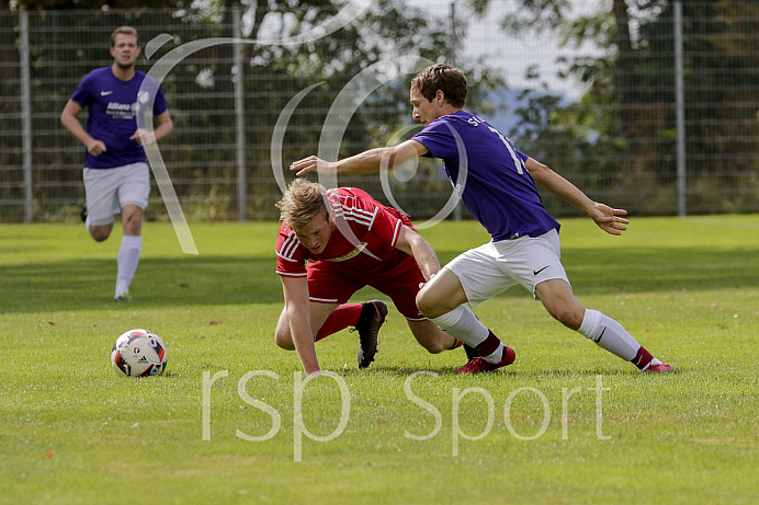Fussball - Herren - Kreisklasse - Saison 2018/2019 - BSV Berg im Gau - SV Grasheim - 26.08.2018 -  Foto: Ralf L