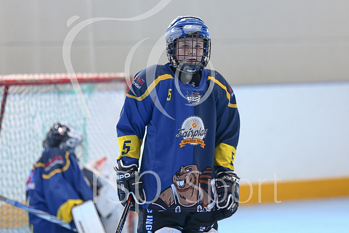 Skaterhockey, Sch