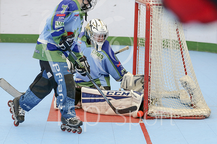 Skaterhockey, Sch