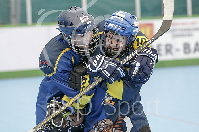 Skaterhockey, Sch