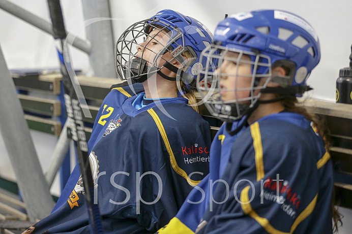 Skaterhockey, Sch