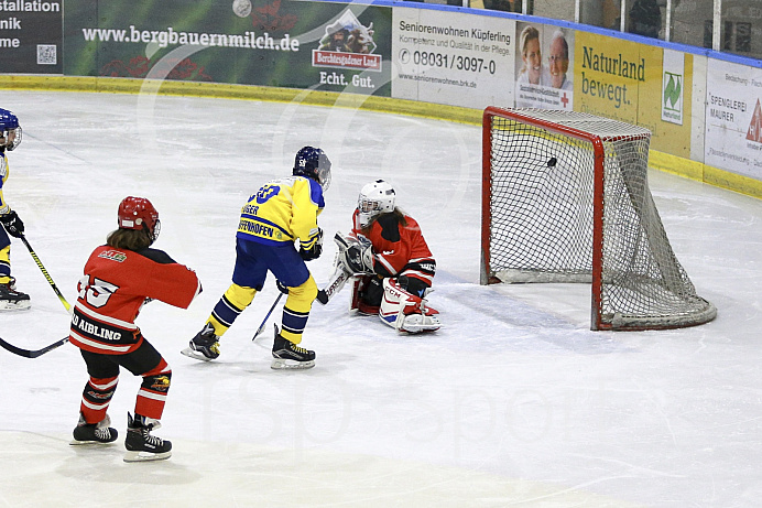 Eishockey, U12, Landesliga Gruppe 3, Saison 2017/2018, EC Pfaffenhofen - Bad Aibling
