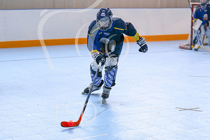 Skaterhockey, Sch