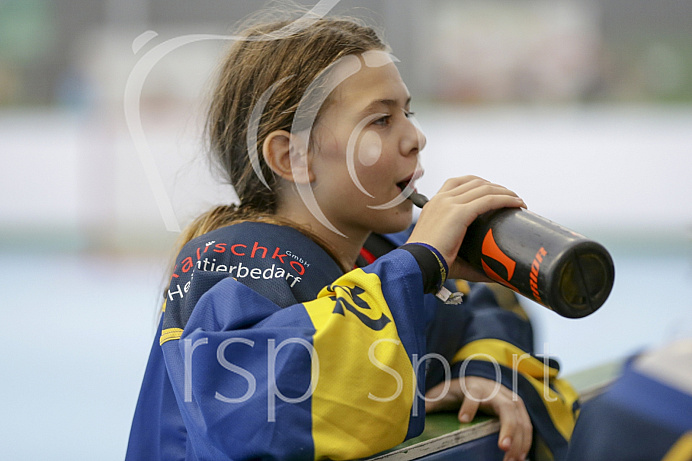 Skaterhockey, Sch