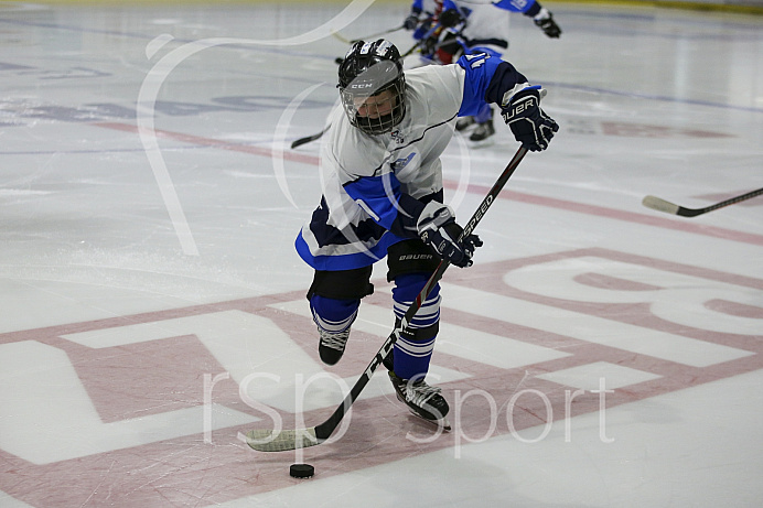 Eishockey - Nachwuchs U15 - Bayernliga - Saison 2019/2020 -  ERC Ingolstadt - Regensburg - Foto: Ralf Lüger