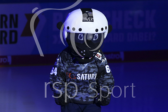 Eishockey - Herren - DEL - Saison 2019/2020 -  ERC Ingolstadt - Eisbären Berlin - Foto: Ralf Lüger