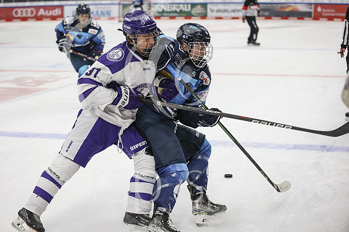 DNL - Eishockey - Saison 2023/2024  - Tespspiel - ERC Ingolstadt - Budapest - Foto: Ralf Lüger