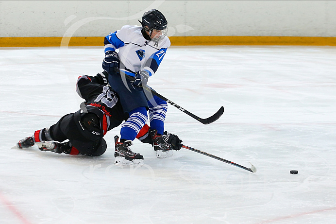 Eishockey - Nachwuchs U15 - Bayernliga - Saison 2020/2021 - Nürnberg - ERC Ingolstadt - Foto: Ralf Lüger