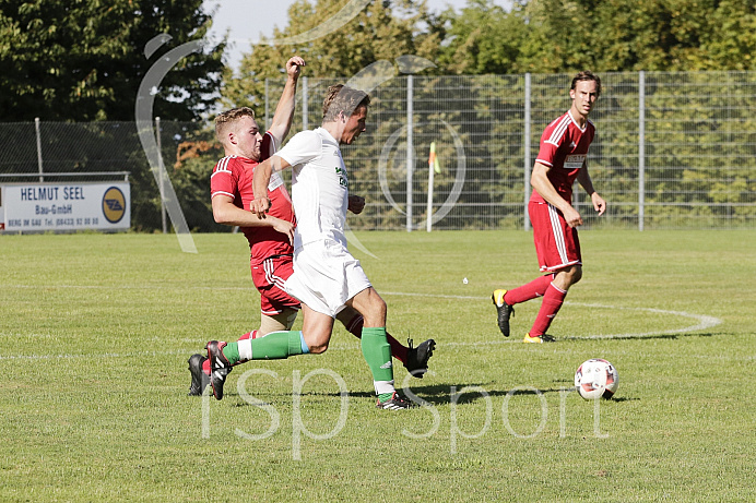 Fussball - Herren - Kreisklasse - Saison 2018/2019 - BSV Berg im Gau - SV Stra