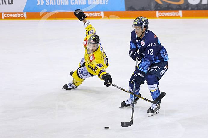 Eishockey - Herren - DEL - Saison 2019/2020, Spiel 3 - 20.09.2019 -  ERC Ingolstadt - Krefeld Pinguines - Foto: Ralf Lüger