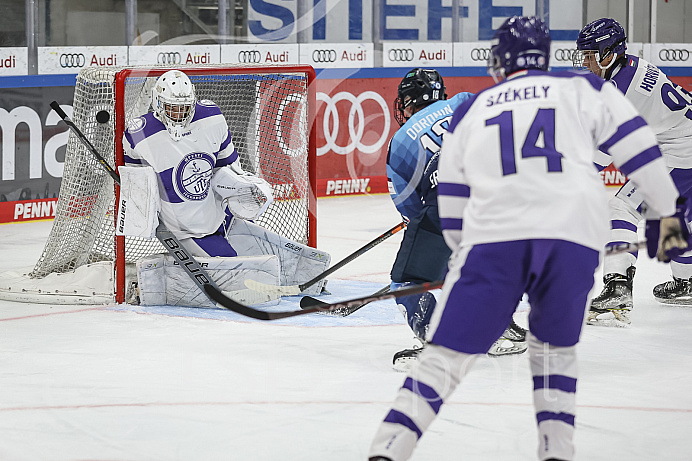 DNL - Eishockey - Saison 2023/2024  - Tespspiel - ERC Ingolstadt - Budapest - Foto: Ralf Lüger