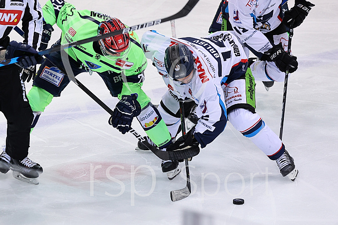 Eishockey - Herren - DEL - Saison 2020/2021 -   ERC Ingolstadt - Straubing Tigers - Foto: Ralf Lüger