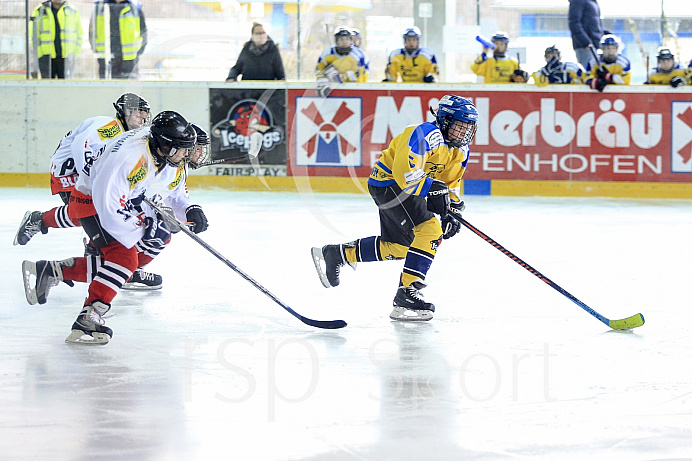 Eishockey, U12, Landesliga Gruppe 3, Saison 2017/2018, EC Pfaffenhofen - EHF Passau

