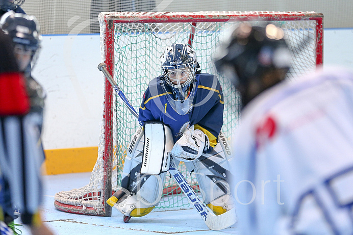 Skaterhockey, Sch