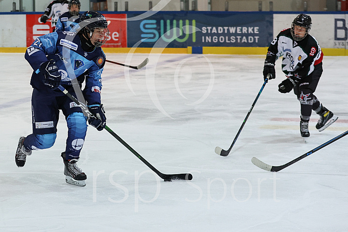Eishockey - Nachwuchs U17 - Schüler Bundesliga - Punktspiel - Saison 2021/2022 - Starbulls Rosenheim -  ERC Ingolstadt - Foto: Ralf Lüger