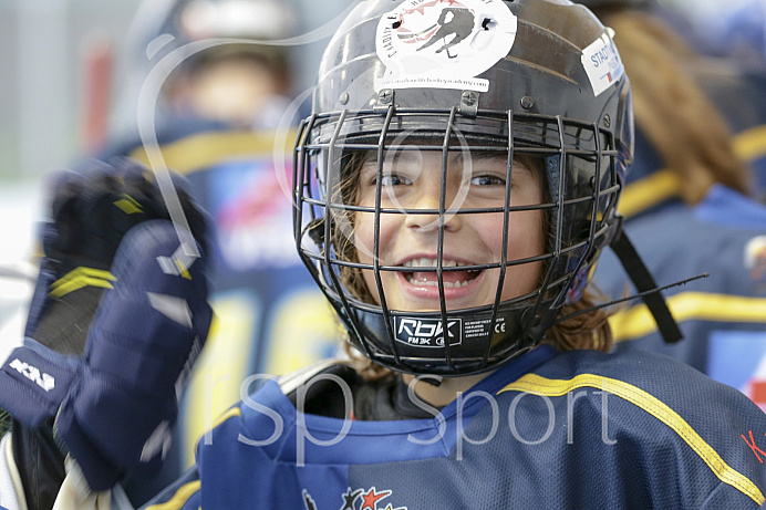 Skaterhockey, Sch
