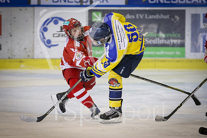 Eishockey, Knaben, Landesliga, Saison 2018/2019, Spiel 3, 14.10.2018, EC Pfaffenhofen - EV Landshut, Foto: Ralf L