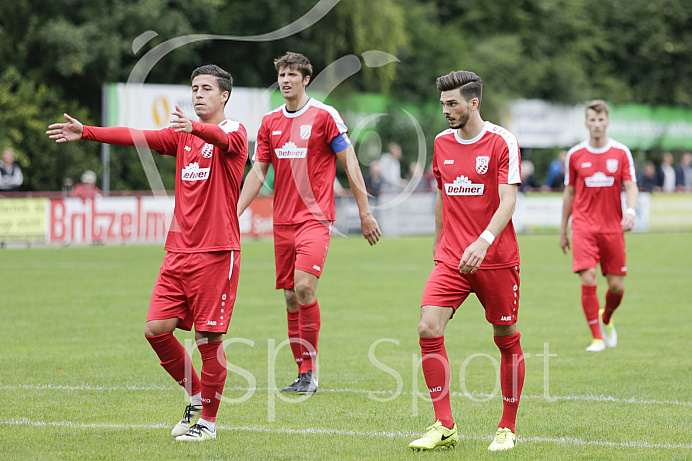 Fussball, Bayernliga Süd - Saison 2017/2018 - TSV Rain - FC Ismaning - 1.09.2017