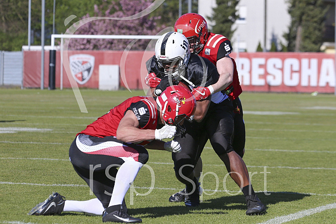Football, GFL1, Saison 2019,Ingolstadt Dukes - Potsdam Royals - Testspiel - 20.04.2019
