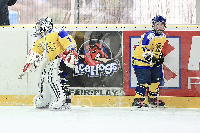 Eishockey, U12, Landesliga Gruppe 3, Saison 2017/2018, EC Pfaffenhofen - EHF Passau

