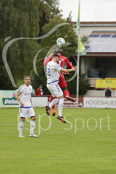 Fussball, Bayernliga Süd - Saison 2017/2018 - TSV Rain - FC Ismaning - 1.09.2017