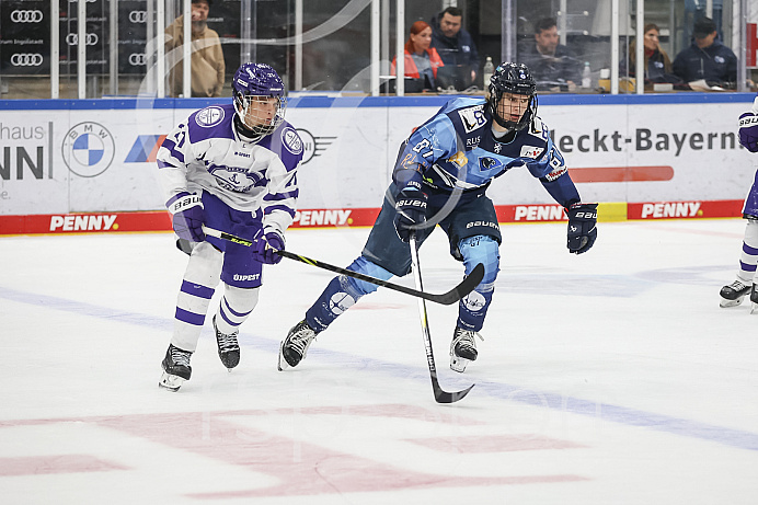 DNL - Eishockey - Saison 2023/2024  - Tespspiel - ERC Ingolstadt - Budapest - Foto: Ralf Lüger