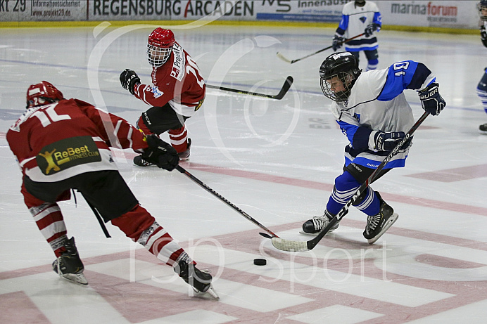 Eishockey - Nachwuchs U15 - Bayernliga - Saison 2019/2020 -  ERC Ingolstadt - Regensburg - Foto: Ralf Lüger