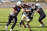Football, Saison 2021, Ingolstadt Dukes - Nürnberg Rams - 02.10.2021