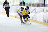 Eishockey, U12, Landesliga Gruppe 3, Saison 2017/2018, EC Pfaffenhofen - EHF Passau

