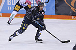 Eishockey - Herren - DEL - Saison 2019/2020 -  ERC Ingolstadt - Eisbären Berlin - Foto: Ralf Lüger