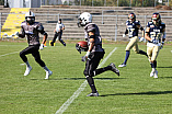 Football, Saison 2021, Ingolstadt Dukes - Nürnberg Rams - 02.10.2021