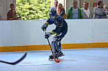 Skaterhockey, Sch