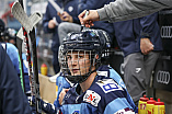 DNL - Eishockey - Saison 2023/2024  - Tespspiel - ERC Ingolstadt - Budapest - Foto: Ralf Lüger