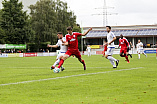 Fussball, Bayernliga Süd - Saison 2017/2018 - TSV Rain - FC Ismaning - 1.09.2017