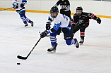 Eishockey - Nachwuchs U15 - Bayernliga - Saison 2020/2021 - Nürnberg - ERC Ingolstadt - Foto: Ralf Lüger