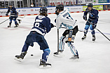 DNL - Eishockey - Saison 2023/2024  - Testspiel - ERC - Linz - Foto: Ralf Lüger