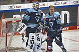 Eishockey - Herren - DEL - Saison 2022/2023 -   ERC Ingolstadt - Eisbären Berlin  - Foto: Ralf Lüger