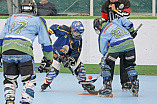 Skaterhockey, Sch