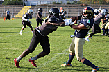 Football, Saison 2021, Ingolstadt Dukes - Nürnberg Rams - 02.10.2021