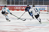 DNL - Eishockey - Saison 2023/2024  - Testspiel - ERC - Linz - Foto: Ralf Lüger