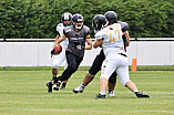 Football, Testspiel, Saison 2021, Ingolstadt Dukes - Augsburg Storms - 24.07.2021