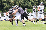 Football, Testspiel, Saison 2021, Ingolstadt Dukes - Augsburg Storms - 24.07.2021