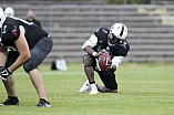 Football, GFL1, Saison 2017, Ingolstadt Dukes - Schwäbisch Hall Unicorns, 12.08.2017 