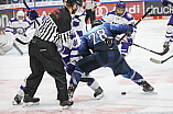 DNL - Eishockey - Saison 2023/2024  - Tespspiel - ERC Ingolstadt - Budapest - Foto: Ralf Lüger