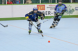 Skaterhockey, Sch