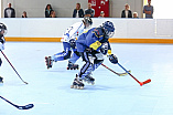 Skaterhockey, Sch
